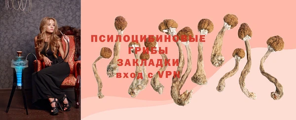 дмт Магас