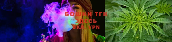 дмт Магас