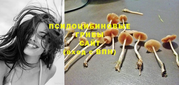 дмт Магас