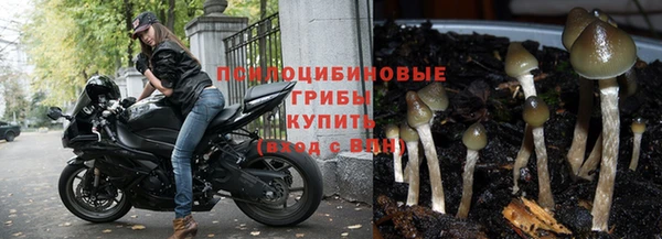 альфа пвп Майский